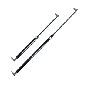 Gas Struts